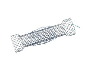 Стравохідний стент  Niti-S Double-Тип, TaeWoong