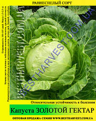 Насіння капусти Золотий Гектар 10 кг (мішок)
