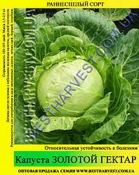 Насіння капусти Золотий Гектар 0,5 кг, білокачанна