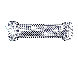 Ентеро-кишковий стент Niti-S з покриттям Full covered-Тип, TaeWoong