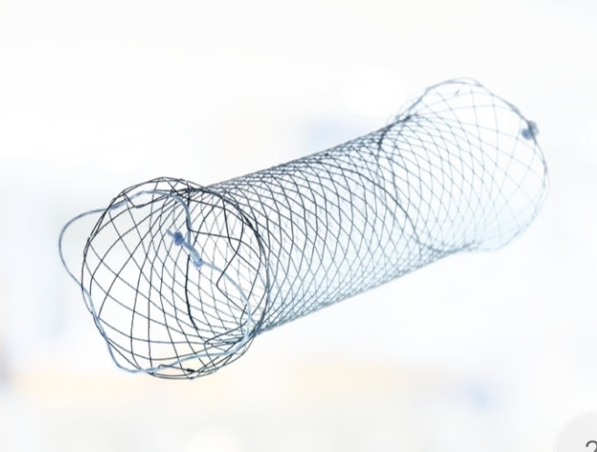 Дуоденальний стент Double Spherical без покриття, MICRO-TECH