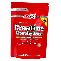 Креатин AMIX Creatine Monohydrate 250г