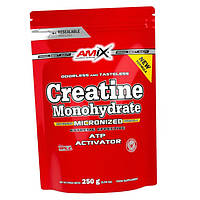 Креатин Моногидрат AMIX Creatine Monohydrate 250г