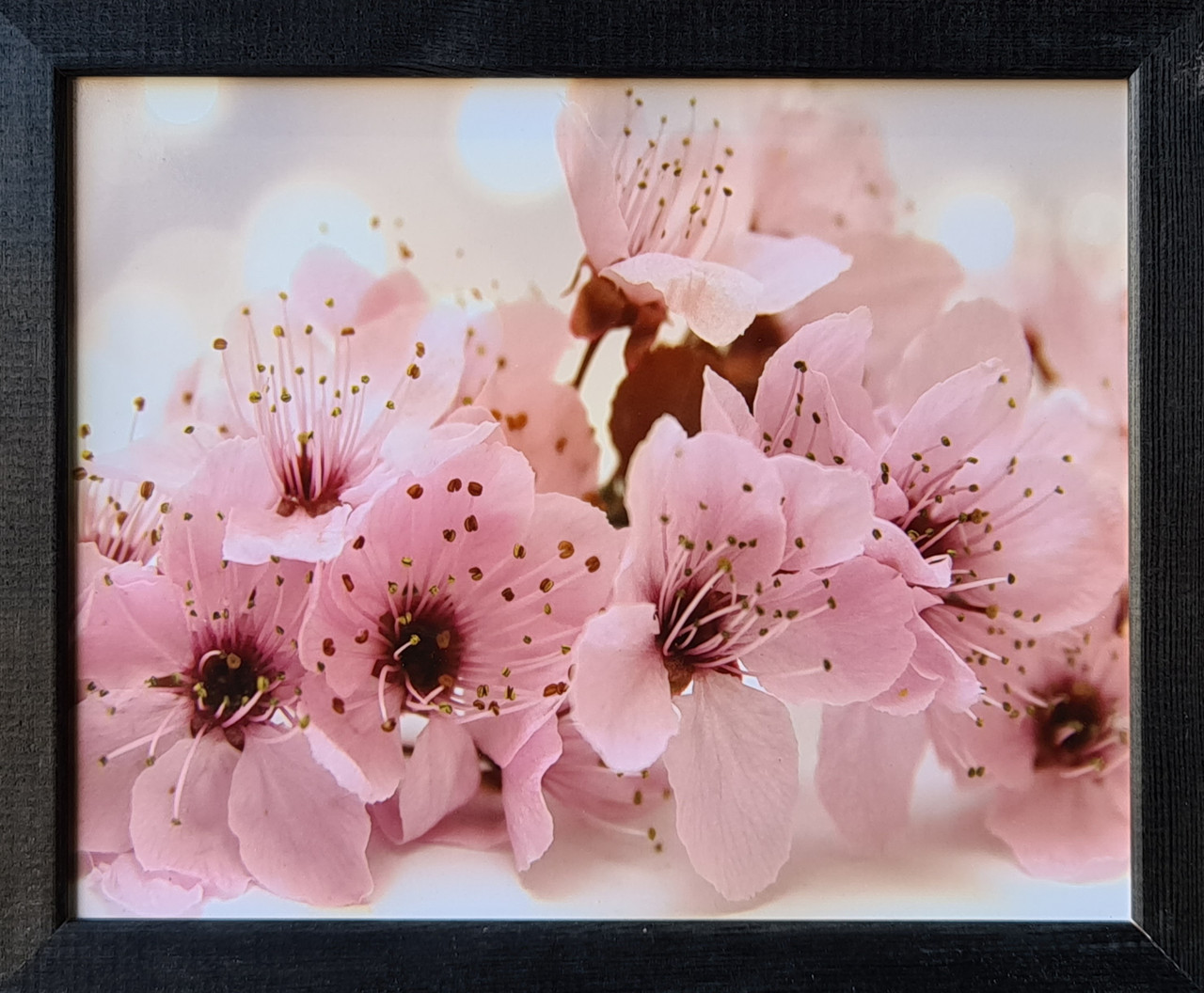 Фотокартина в дерев'яній рамі "Flower 1", 20х25 см, POS-2025-088
