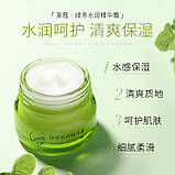 Омолоджуючий та протизапальний крем для обличчя із зеленим чаєм Laikou Green Tea (55 мл) Прим'ята упаковка!, фото 3