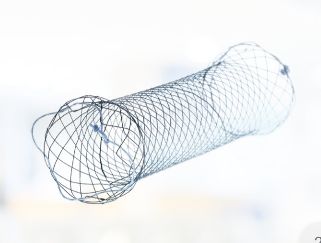 Дуоденальний стент Double Spherical з покриттям, MICRO-TECH, фото 1