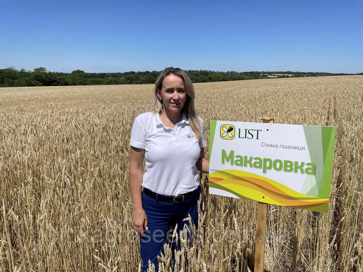Насіння Озимої пшениці МАКАРОВКА (еліта) ТОВ “ЛІСТ" (реалізуємо від 1т)