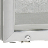 Шафа морозильна 88 л Tefcold UF100G, фото 3