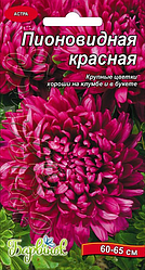 Айстра «Піоновидна червона»