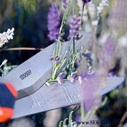 Ножиці для кущів Stocker / Штокер 2039 Hobby 55, хвилясті леза (Італія), фото 4