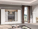 Вітальня Галиція М (Кіївський Стандарт) 2800*450*2100, фото 4