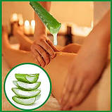 Сонцезахисний та стимулючий рано-загоєння сік - гель Алоє Barbadensis Miller Premium 100% Bio Organic 20 ml, фото 2