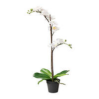 Искусственное растение IKEA FEJKA 802.859.09