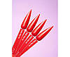 Гель-лак для нігтів Dnka Gel Polish Ultra Red,12 мл, фото 2