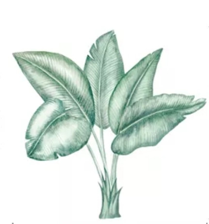 Вінілові наклейки на стіну Зелене листя (лист 30 х 46 см) Б83-27