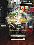 Клітка для птахів 46,5*36*88 см, фото 4