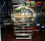 Клітка для птахів 46,5*36*88 см, фото 6