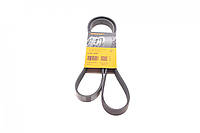 Ремінь генератора Ford Transit Connect 02-13 Focus 99-05 Toyota Avensis 03-12 Corolla 01-07 Renault 6PK1420