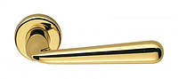 Дверная ручка Colombo Design Robodue CD 51 полированная латунь 50мм розетта (24186)