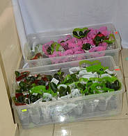 Харчові контейнери великі BIGBOX 30-80л