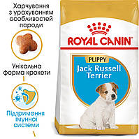 Royal Canin Jack Russel Terrier Junior 1.5 кг - сухий корм для цуценят поріди джек-рассел-тер'єр до 10 місяців