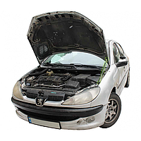 Газовий упор капота Peugeot 206 (1998-2008) (1 шт)