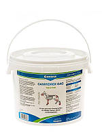 Petvital Canhydrox GAG 1200таб / 2 кг для собак профілактика захворювань опорно-рухового апарату