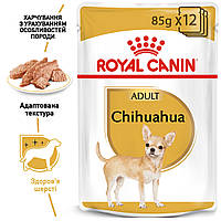 Влажный корм Royal Canin Chihuahua Adult 85 г х 12 шт для собак породы чихуахуа старше 8 месяцев