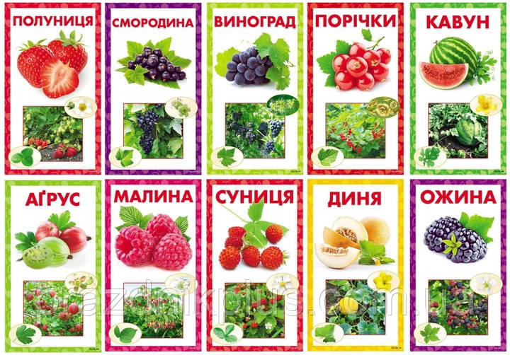 Набір карток для розвитку: Ягоди