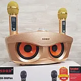 Караоке система SDRD 306Plus на два мікрофони з колонкою для дому — Золото, фото 3