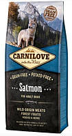 Carnilove Adult Salmon 12 кг полнорационный беззерновой корм для собак всех пород с мясом лосося