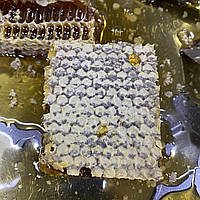 Стільники (соти) Гречаного меду 300 грам порізані 2025 р