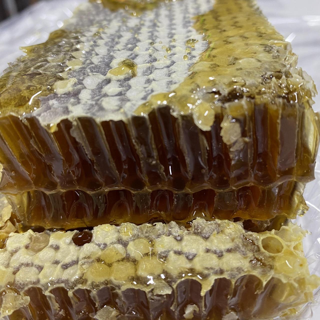 Стільники (соти) Гречаного меду 700 грам порізані 2025 р, фото 1