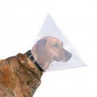 Ветеринарный воротник на застежке Trixie 44-50см / 25см для собак, пластик