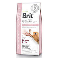 Сухой корм для собак, при пищевой аллергии Brit GF Veterinary Diet Hypoallergenic 12 кг