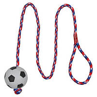 Игрушка для собак мяч на веревке, 100 см, 6 см