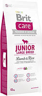Brit Care Junior Large Breed Lamb and rice 12 кг Сухой корм для щенков крупных пород с мясом ягненка и рисом