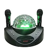 SDRD SD-308 караоке система для дому на два мікрофони з квітчастою і Вluetooth — Чорний, фото 2