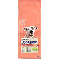 Сухой корм dog Chow Sensitive 14 кг для взрослых собак с лососем