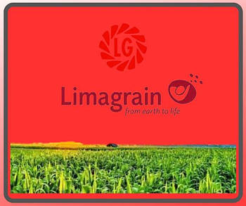 Насіння кукурудзи Limagrain