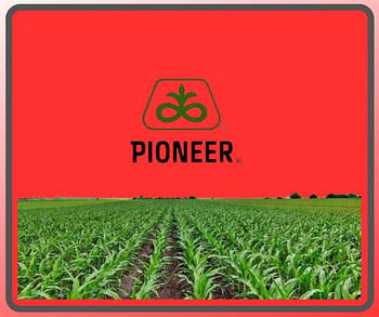 Насіння кукурудзи Pioneer (Brevant)