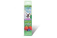 Гель для чистки зубов TropiClean Oral Care Gel Berry Frech Свежая ягода для собак, 59 мл