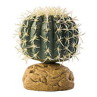 Декорация для террариума Exo Terra растение на подставке Barrel Cactus S