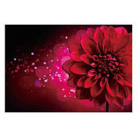 Алмазна мозаїка JS 20464 (50) "TK Group", "Фентезі", 30х20 в коробці