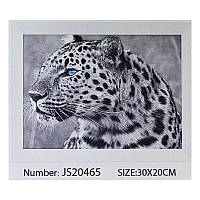 Алмазна мозаїка JS 20465 (50) в коробці 30х20