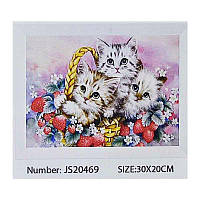 Алмазна мозаїка JS 20469 (50) "TK Group", в коробці, 30х20