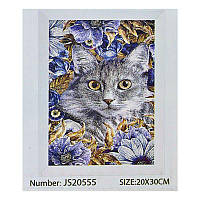 Алмазна мозаїка JS 20555 (50) в коробці 30х20