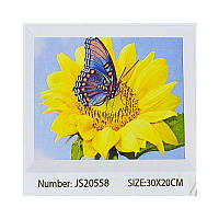 Алмазна мозаїка JS 20558 (50) в коробці 30х20