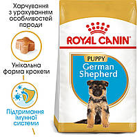 Royal Canin German Shepherd Junior 12 кг - корм для цуценят Німецької вівчарки до 15 міс.