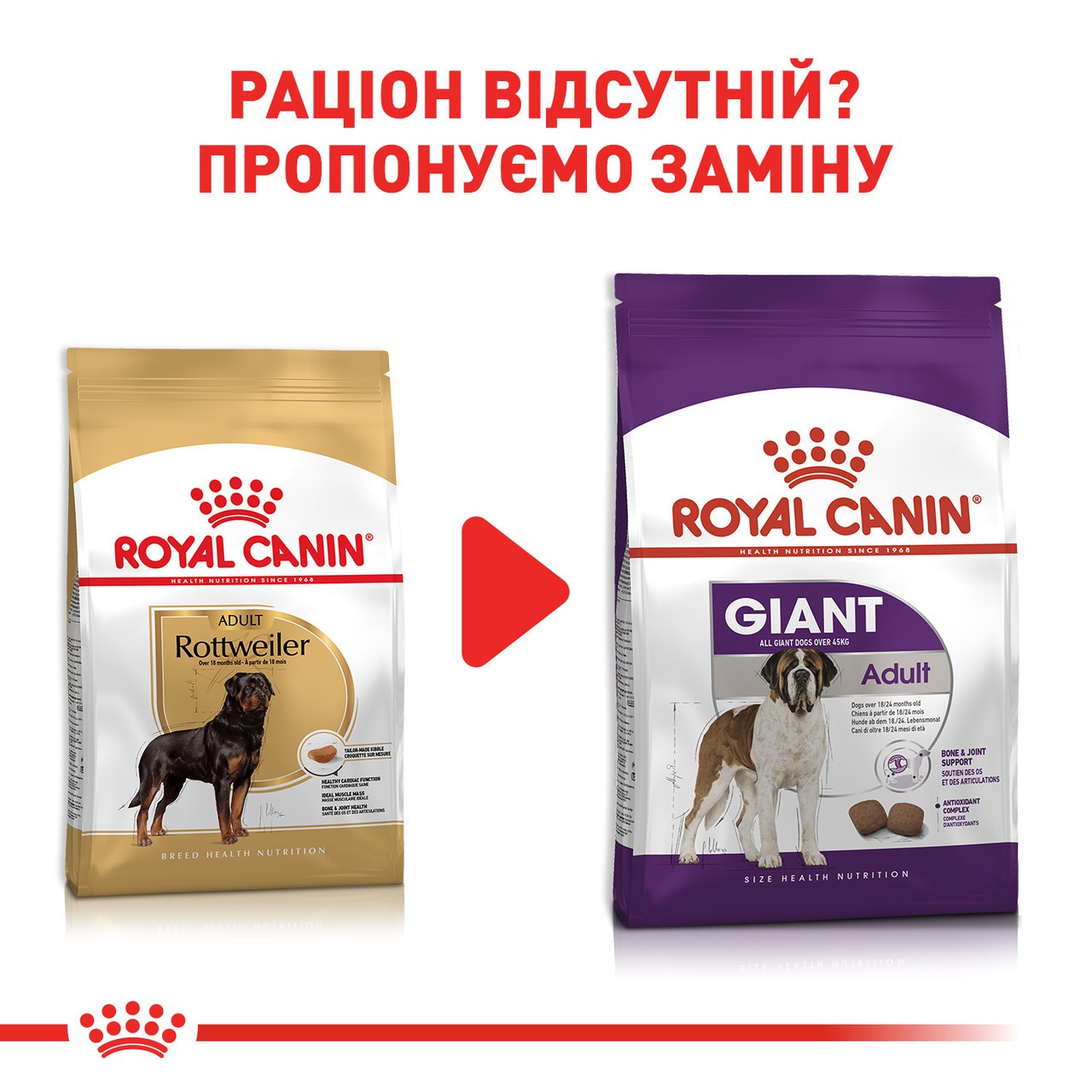 Сухий корм Royal Canin Rottweiler Adult 12кг для Ротвейлерів від 18 місяців